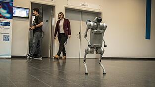 Speedy auf zwei Beinen