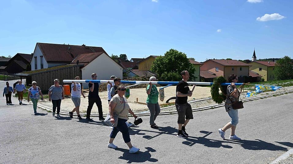 Traditionell stellte der Gartenbauverein Bodenkirchen am 1. Mai wieder einen Maibaum auf. Nachdem die handgemalten Taferl von Wolfgang Kleemann sowie die Bayernfahne und der Kranz von Meyer's Blumenstüberl angebracht waren, wurde durchs Dorf in die Neubausiedlung gezogen. Traditionell stellte der Gartenbauverein Bodenkirchen am 1. Mai wieder einen Maibaum auf. Nachdem die handgemalten Taferl von Wolfgang Kleemann sowie die Bayernfahne und der Kranz von Meyer's Blumenstüberl angebracht waren, wurde durchs Dorf in die Neubausiedlung gezogen.
