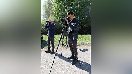 Meistens gehen Bastian Thom und Christa Schramm nicht so nah an die gesch&uuml;tzten V&ouml;gel heran.