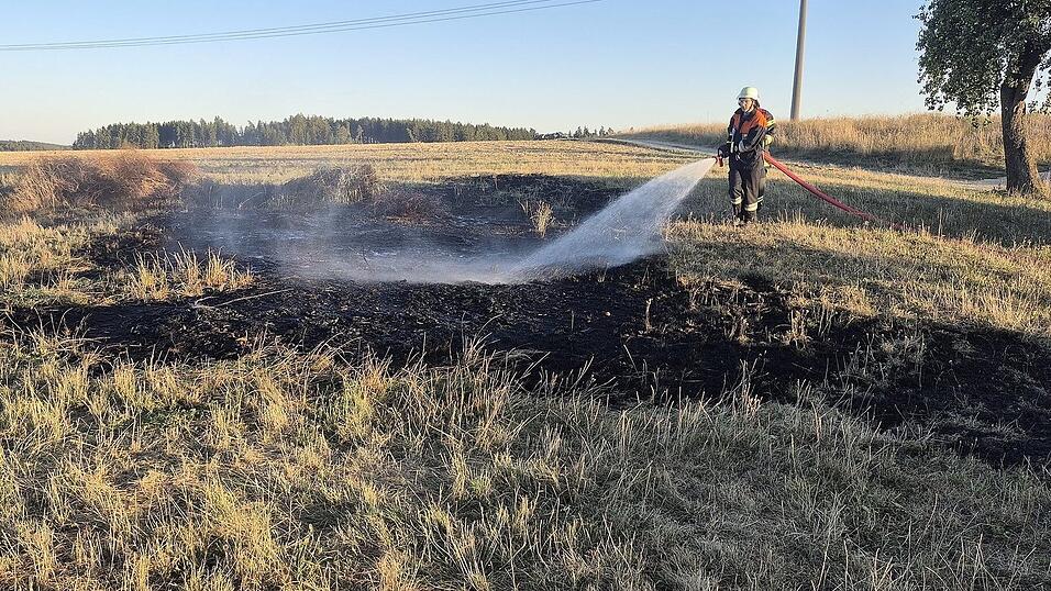 Die H&ouml;rgertshausener Feuerwehr l&ouml;schte den Brand ab, insgesamt waren rund 25 Kr&auml;fte im Einsatz.
