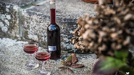 Das Rezept zum Aronia-Kirschlikör ist in 15 Minuten erledigt.