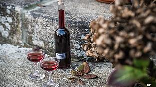 Das Rezept zum Aronia-Kirschlik&ouml;r ist in 15 Minuten erledigt.