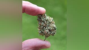 Seit dem 1. April können Erwachsene in Deutschland unter bestimmten Voraussetzungen legal Cannabis konsumieren. Seit dem 1. April können Erwachsene in Deutschland unter bestimmten Voraussetzungen legal Cannabis konsumieren.