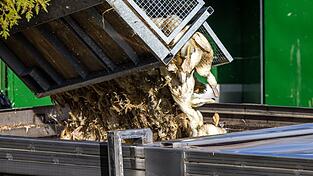 Wegen der Geflügelpest müssen in Deutschland derzeit viele Tausend Hühner, Gänse, Enten und Puten gekeult werden. Wegen der Geflügelpest müssen in Deutschland derzeit viele Tausend Hühner, Gänse, Enten und Puten gekeult werden.