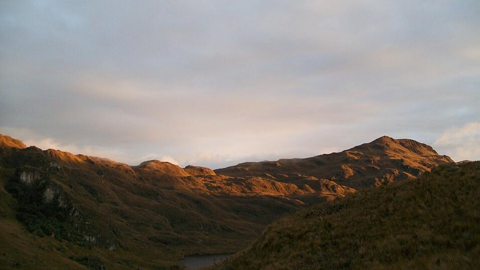 Bilder zum Thema Bilder zum Thema