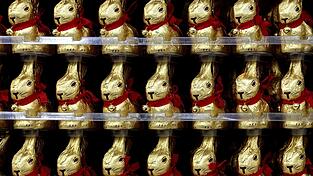 Die Osterhasen von Lindt sind seit einigen Wochen in den Superm&auml;rkten zu finden.