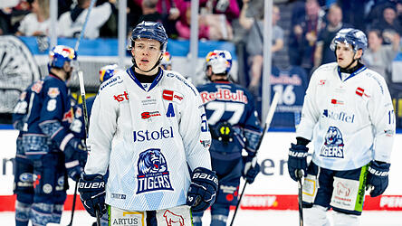 Danjo Leonhardt bleibt den Straubing Tigers f&uuml;r die Saison 2026/27 erhalten.&nbsp;