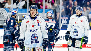 Danjo Leonhardt bleibt den Straubing Tigers für die Saison 2026/27 erhalten. Danjo Leonhardt bleibt den Straubing Tigers für die Saison 2026/27 erhalten.
