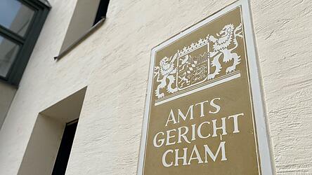 Fast flehentlich hat ein 23-Jähriger vor dem Chamer Amtsgericht um eine Therapie gebeten.