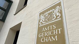 Fast flehentlich hat ein 23-Jähriger vor dem Chamer Amtsgericht um eine Therapie gebeten.