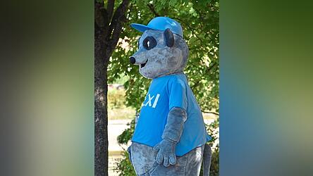 Ein Erdm&auml;nnchen wirbt f&uuml;r Kexi im Landkreis Kelheim.