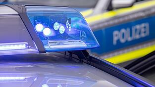 Die Polizisten &uuml;bergaben die beiden Jungs ihren jeweiligen Eltern. (Symbolbild)