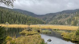 Mythenumwoben: der Kleine Arbersee mit seinen Inseln.