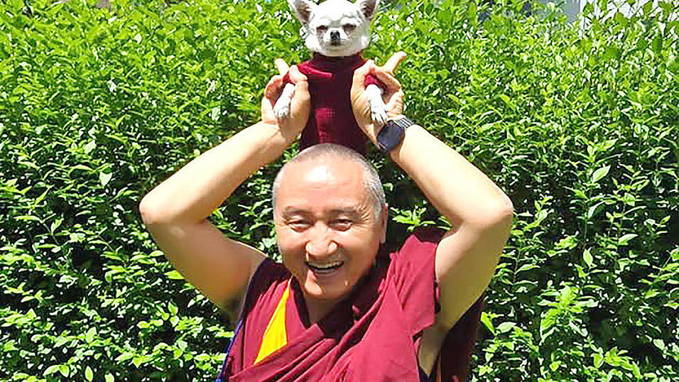 Der buddhistische Lehrer Geshe Tenzin Zopa segnet die Tiere. Der buddhistische Lehrer Geshe Tenzin Zopa segnet die Tiere.