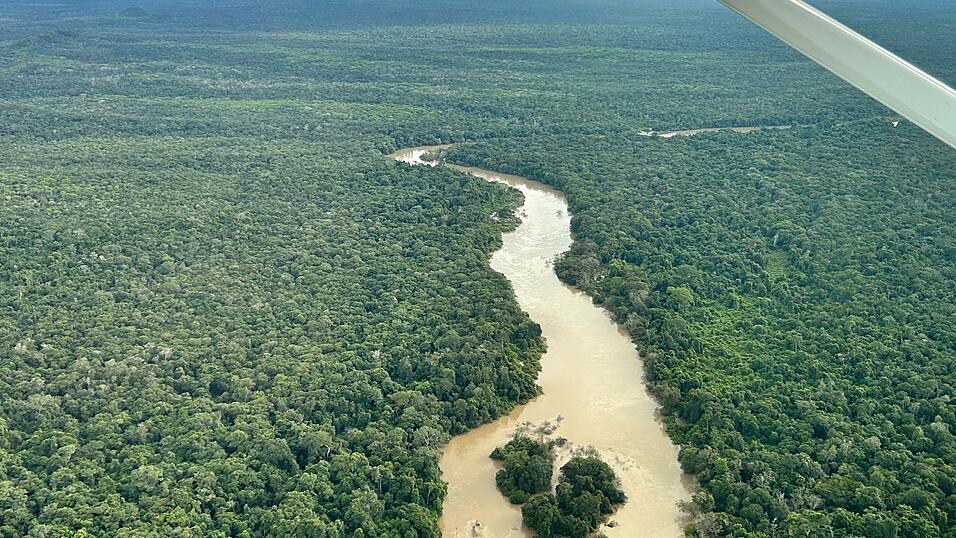 Der Amazonas-Regenwald steht beim Wahlkampf dieses Jahr weniger im Fokus. (Archivbild)