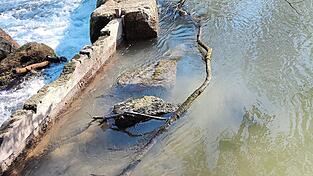 Am Dammbalken-Wehr hat sich ein Ast verhakt. Am Dammbalken-Wehr hat sich ein Ast verhakt.