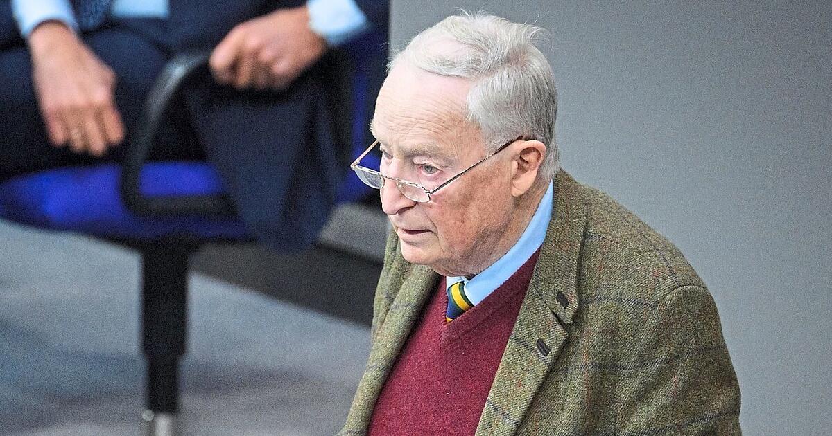 What is known about the AfD leak