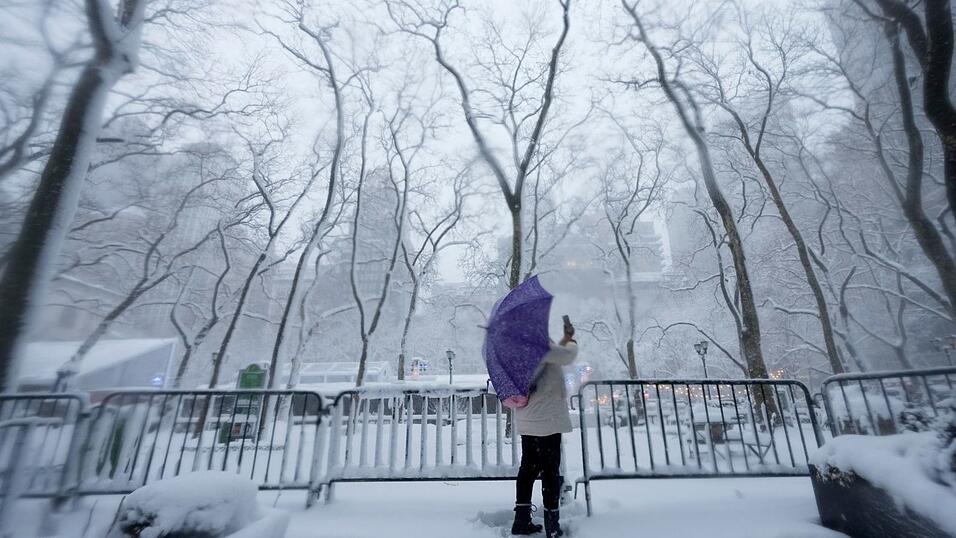 In einigen Parks der Stadt entstanden ganze Armadas von Schneefiguren.