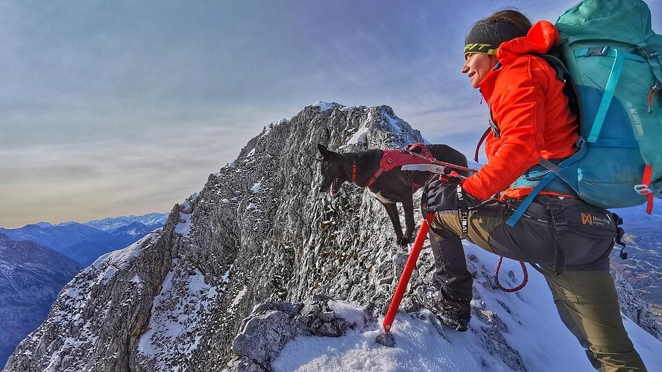 Das Gefühl von grenzenloser Freiheit: Die passionierte Bergsteigerin Francie Vogel und ihr Hund Mexx auf dem Weg zum Gipfel des Wörner, einem 2.476 Meter hohen Berg im Karwendel an der Grenze zwischen Bayern und Tirol. Das Gefühl von grenzenloser Freiheit: Die passionierte Bergsteigerin Francie Vogel und ihr Hund Mexx auf dem Weg zum Gipfel des Wörner, einem 2.476 Meter hohen Berg im Karwendel an der Grenze zwischen Bayern und Tirol.