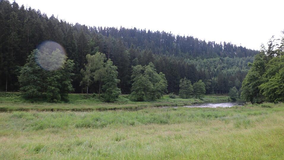 Idylle am Schwarzen Regen nahe Viechtach. Auf dieser Wiese landete der Rettungshubschrauber.