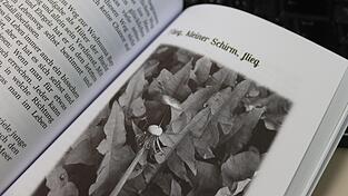 Die Bilder im Buch sind dank Künstlicher Intelligenz entstanden. Die Bilder im Buch sind dank Künstlicher Intelligenz entstanden.