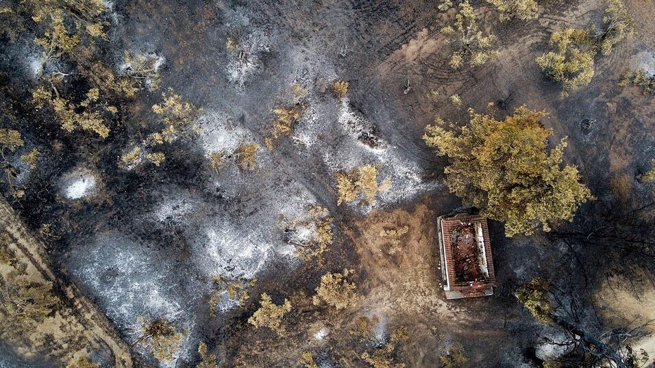 Blick auf ein vom Feuer der Waldbrände zerstörtes Haus, das inmitten eines niedergebrannten Waldes im Dorf Agia Anna auf der Insel Euböa steht. Hunderte von Feuerwehrleuten aus ganz Europa und dem Nahen Osten arbeiteten am Mittwoch (11.08.2021) zusammen mit griechischen Kollegen in zerklüftetem Gelände, um die riesigen Waldbrände einzudämmen, die eine Woche lang die griechischen Wälder verwüsteten, Häuser zerstörten und Evakuierungen erzwangen. Blick auf ein vom Feuer der Waldbrände zerstörtes Haus, das inmitten eines niedergebrannten Waldes im Dorf Agia Anna auf der Insel Euböa steht. Hunderte von Feuerwehrleuten aus ganz Europa und dem Nahen Osten arbeiteten am Mittwoch (11.08.2021) zusammen mit griechischen Kollegen in zerklüftetem Gelände, um die riesigen Waldbrände einzudämmen, die eine Woche lang die griechischen Wälder verwüsteten, Häuser zerstörten und Evakuierungen erzwangen.