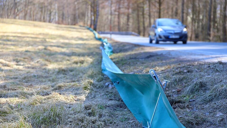 Kr&ouml;ten, Fr&ouml;sche und Molche wandern wieder. Schutzz&auml;une sollen sie vor Stra&szlig;enverkehr sch&uuml;tzen.&nbsp;