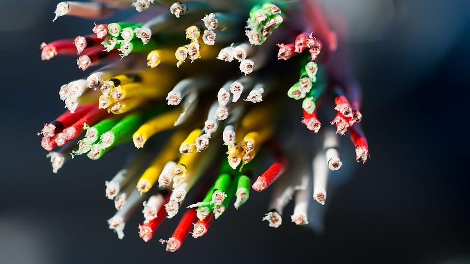 Die Familie erwartet nun eine Anzeige wegen Diebstahls. (Symbolbild)