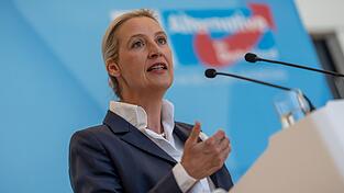 AfD-Chefin Alice Weidel bemängelt, die Empfehlungen der Rentenkommission seien nicht ausreichend. AfD-Chefin Alice Weidel bemängelt, die Empfehlungen der Rentenkommission seien nicht ausreichend.