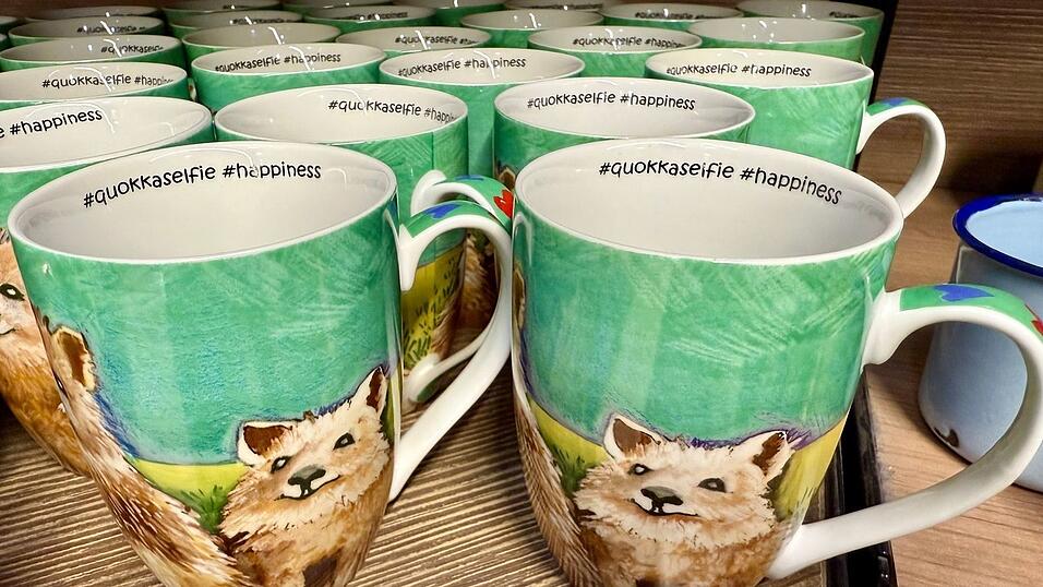 Überall gibt es Souvenirs mit Quokka-Motiv zu kaufen.