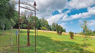 Heinrich Moser pflanzte im Herbst 2021 in Lohberg einen Baumzeichenwald auf einer Ausgleichsfläche, der inzwischen gut gediehen ist. Maria Frisch Heinrich Moser pflanzte im Herbst 2021 in Lohberg einen Baumzeichenwald auf einer Ausgleichsfläche, der inzwischen gut gediehen ist. Maria Frisch