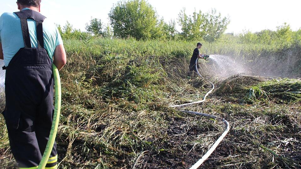 Die Straubinger Feuerwehr löschte am Montagnachmittag einen Brand am Donauufer.