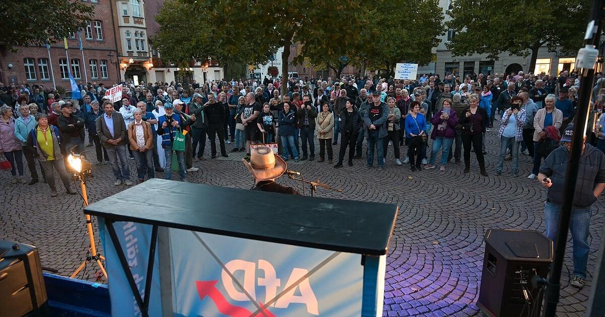 Vorsprung im Straßenwahlkampf - wie die AfD mobilisiert