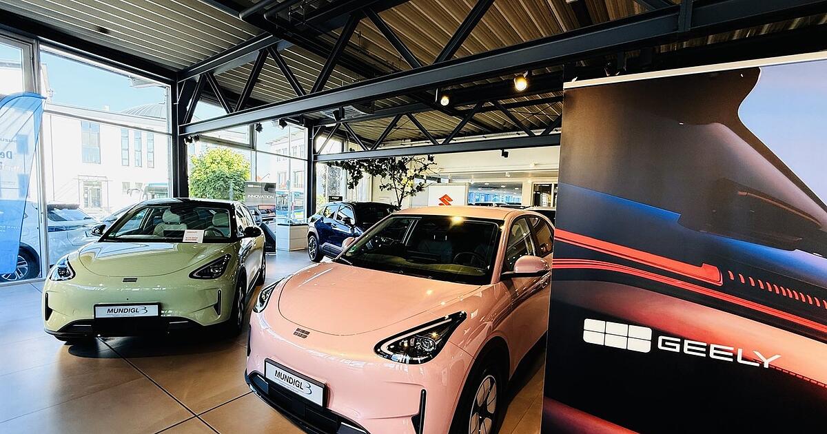 Warum Landshuter Autohäuser vermehrt chinesische Marken vertreten