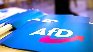Die AfD hatte sich vor Gericht gegen die Beobachtung durch den Verfassungsschutz gewehrt. (Symbolbild) Die AfD hatte sich vor Gericht gegen die Beobachtung durch den Verfassungsschutz gewehrt. (Symbolbild)