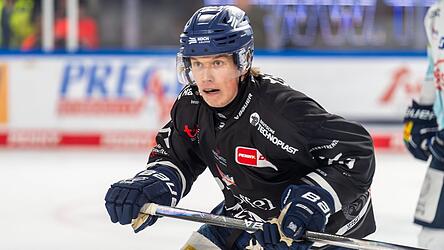 Acht Tore und fünf Assists hat Elis Hede in dieser Saison bereits für die Straubing Tigers erzielt. Ein Weggang des 24-Jährigen wäre also ein herber Verlust. Acht Tore und fünf Assists hat Elis Hede in dieser Saison bereits für die Straubing Tigers erzielt. Ein Weggang des 24-Jährigen wäre also ein herber Verlust.