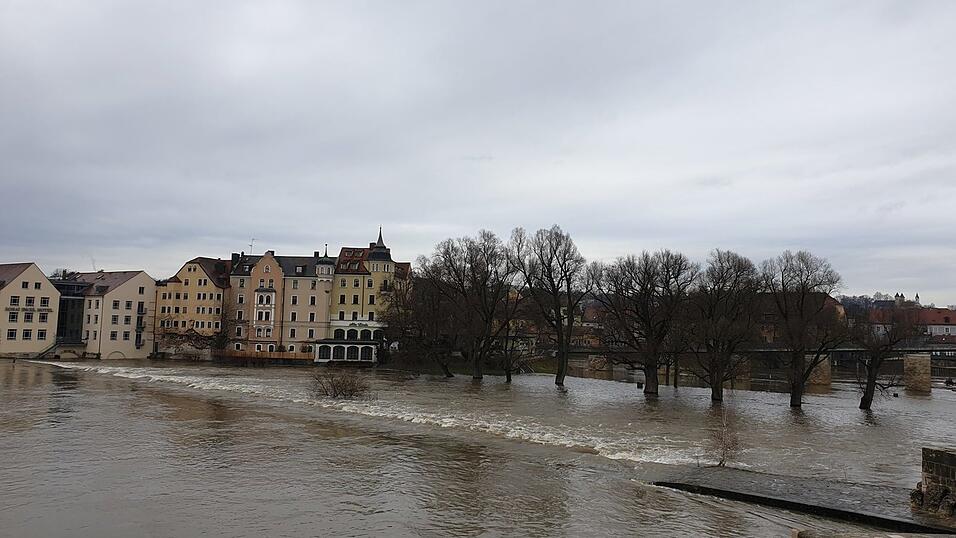 Die Donau in Regensburg am Freitagmittag. Aktuell gilt in der Stadt die Hochwasserwarnstufe 2. Die Donau in Regensburg am Freitagmittag. Aktuell gilt in der Stadt die Hochwasserwarnstufe 2.