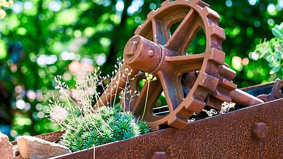 ... wie diesen Kontrast aus Natur und Technik, den er im Schattengarten entdeckt hat.