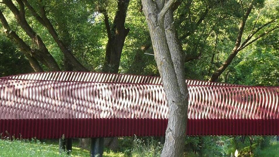 Das Bild von Alfred Bruckner zeigt einen Teil des Br&uuml;cken-Loops im Chamb-Auwald.