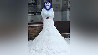 Die eisige Baucht&auml;nzerin