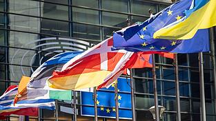 Die frühere Rechtsaußen-Fraktion ID im Europäischen Parlament soll rund 4,3 Millionen Euro aus EU-Geldern missbräuchlich verwendet haben (Archivbild).