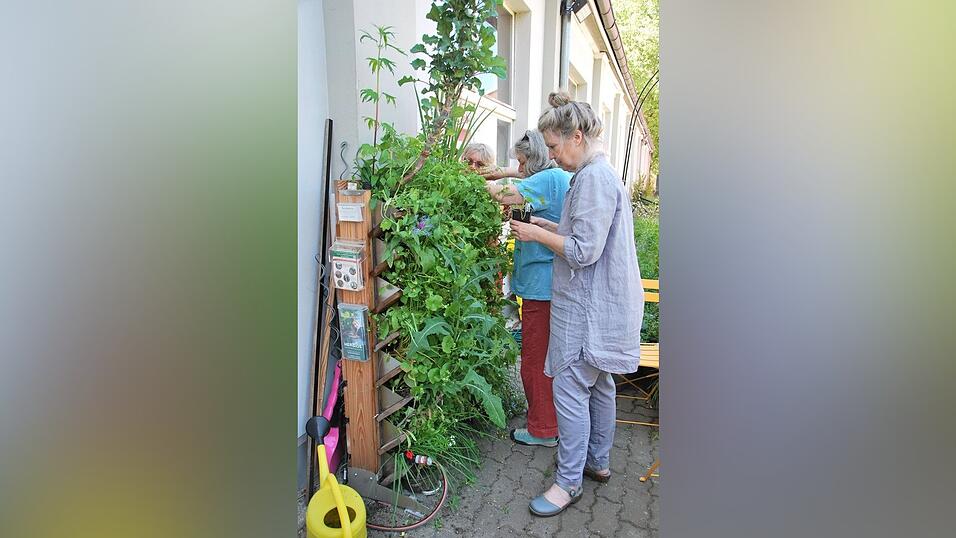 Vertikalbeete bieten viel Platz auf kleinem Raum.