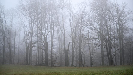 Die Polizei bittet um Hinweise zu den Schlachtabf&auml;llen. (Symbolbild)