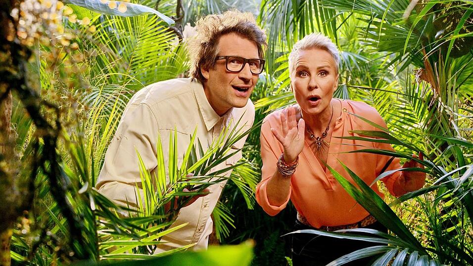 Die Moderatoren des RTL-Dschungelcamp, Daniel Hartwich und Sonja Zietlow. Ein St&uuml;ck 'Fernsehnormalit&auml;t' ist zur&uuml;ck: Nach einem Jahr Corona-Pause hat am Freitagabend das RTL-Dschungelcamp begonnen.