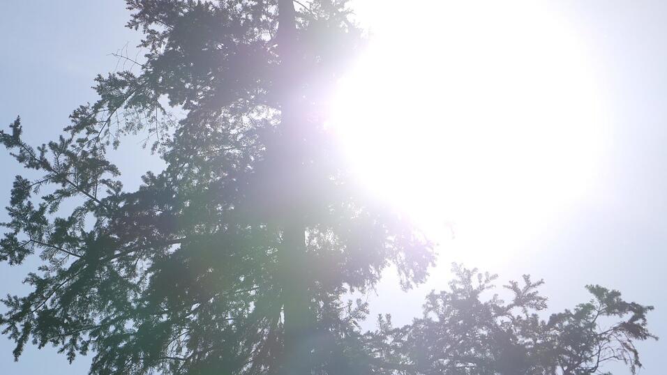 Wunderschönes Ausflugsziel in Passau: die Halser Ilzschleifen. Wunderschönes Ausflugsziel in Passau: die Halser Ilzschleifen.