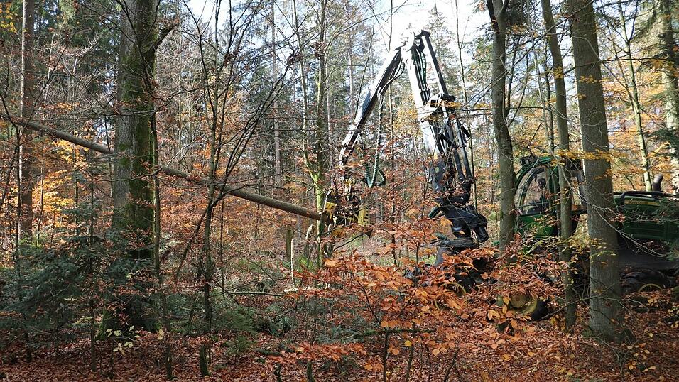 Der Harvester schneidet Bäume bis 70 Zentimeter Stammdurchmesser, entastet sie und längt sie auf fünf Meter ab.Das alles in wenigen Sekunden. Der Harvester schneidet Bäume bis 70 Zentimeter Stammdurchmesser, entastet sie und längt sie auf fünf Meter ab.Das alles in wenigen Sekunden.