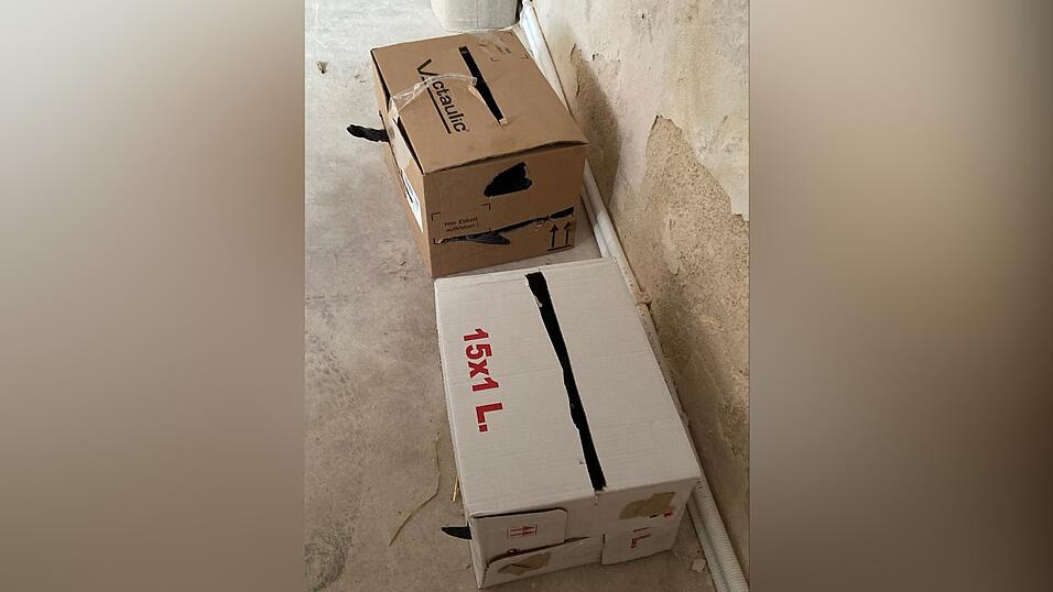 Die Vilshofener Polizei hat mehrere Brieftauben befreit, die in zwei Kartons ohne Nahrung und Wasser gehalten wurden. Die Vilshofener Polizei hat mehrere Brieftauben befreit, die in zwei Kartons ohne Nahrung und Wasser gehalten wurden.