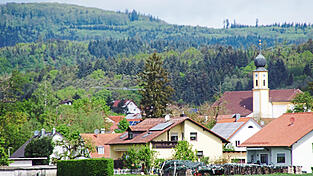 Blick auf den Thiergarten, im Vordergrund die Gemeinde Wiesent. Die Frage, ob ein Steinbruch genehmigungsf&auml;hig ist, harrt weiterhin ihrer finalen Beantwortung.