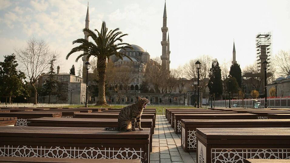 Das Kopftuch ist in der Türkei weiter umstritten, auch abseits von Gebetsstätten wie etwa die Blaue Moschee in Istanbul (Archivbild) Das Kopftuch ist in der Türkei weiter umstritten, auch abseits von Gebetsstätten wie etwa die Blaue Moschee in Istanbul (Archivbild)