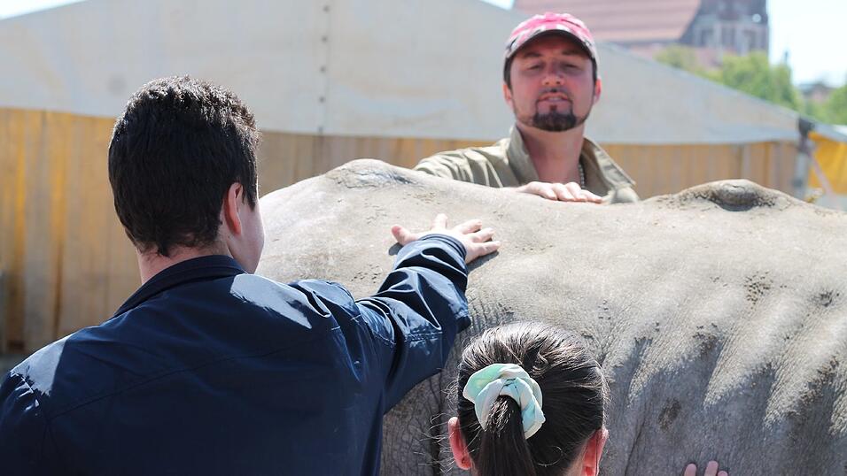Bis zum 17. Mai gastiert der Circus Krone in Straubing. Wir haben uns angeschaut, wie es hinter den Kulissen aussieht. Bis zum 17. Mai gastiert der Circus Krone in Straubing. Wir haben uns angeschaut, wie es hinter den Kulissen aussieht.